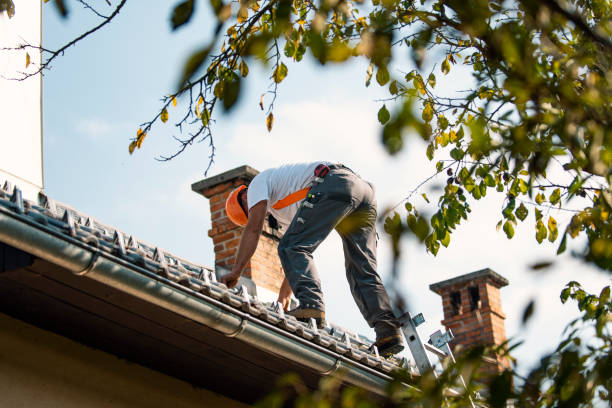 Best Roof Gutter Cleaning  in Warsaw, IN
